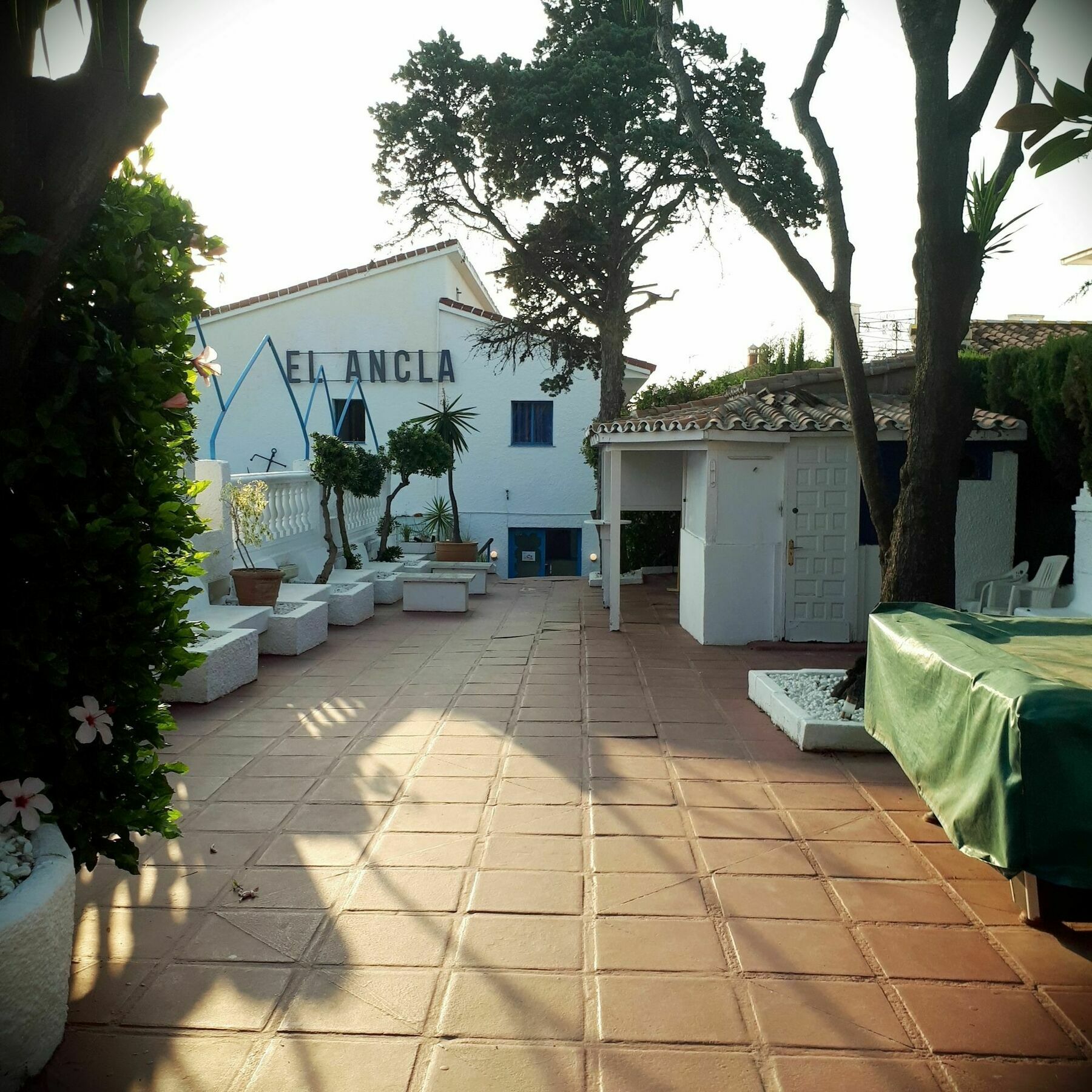 Ancla Beach Apartments 贝纳尔马德纳 外观 照片